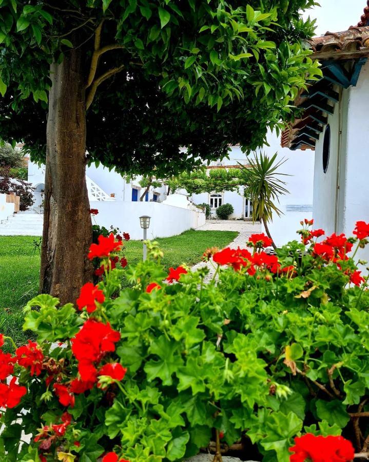 Oryza Guest House& Suites Coimbra Exteriér fotografie