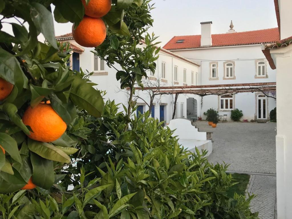 Oryza Guest House& Suites Coimbra Exteriér fotografie